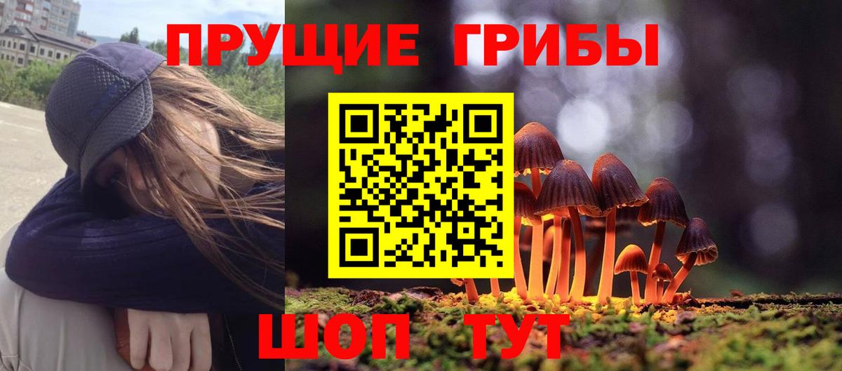 Галлюциногенные грибы ЛСД Тавда